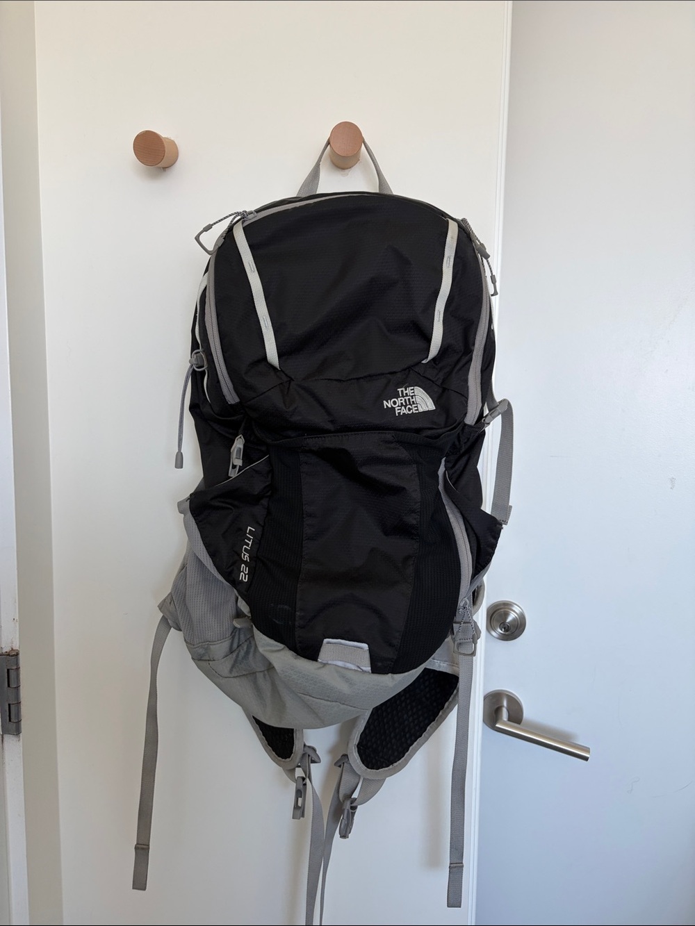 The North Face Litus 22 Daypack with Padded Hip Belt